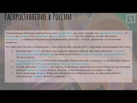 Распространение в России Насекомоядные растения встречаются во всех экосистемах, где