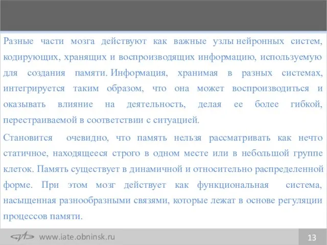 Разные части мозга действуют как важные узлы нейронных систем, кодирующих,