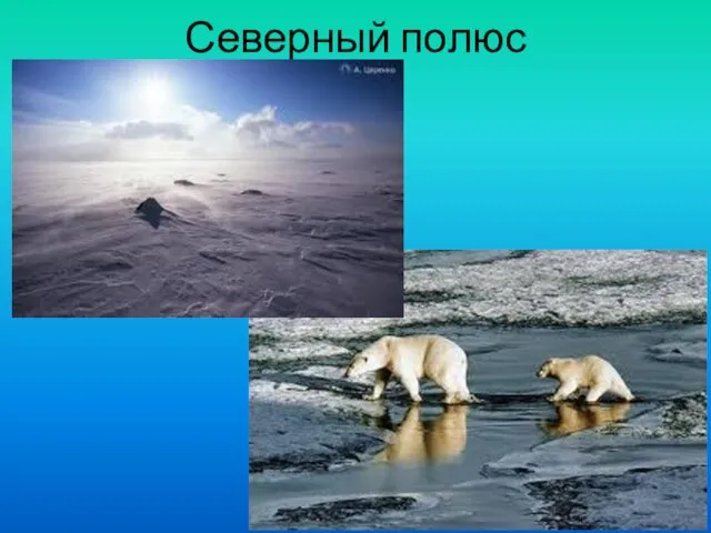 Северный полюс