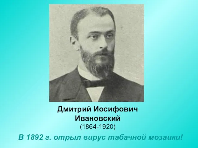 Дмитрий Иосифович Ивановский (1864-1920) В 1892 г. отрыл вирус табачной мозаики!