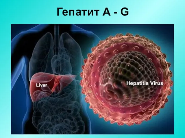 Гепатит A - G