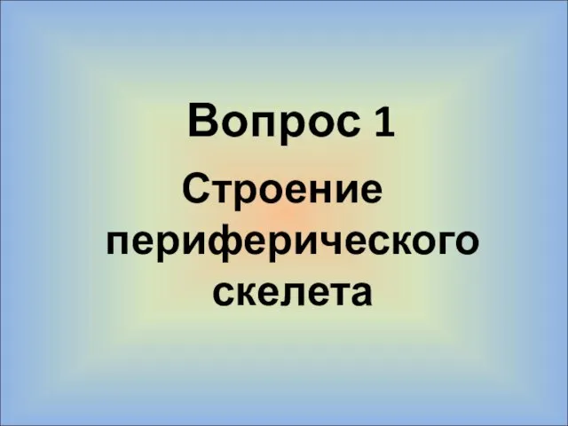 Вопрос 1 Строение периферического скелета