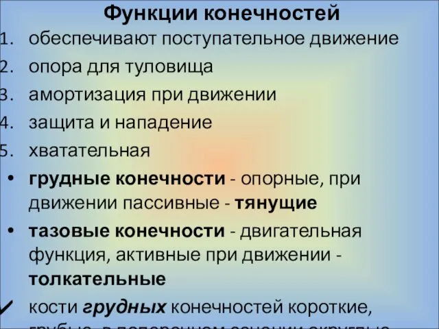 Функции конечностей обеспечивают поступательное движение опора для туловища амортизация при