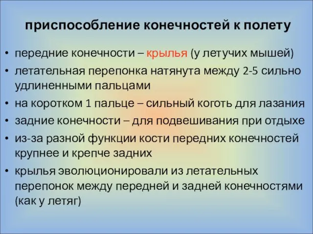 приспособление конечностей к полету передние конечности – крылья (у летучих