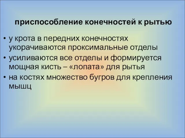 приспособление конечностей к рытью у крота в передних конечностях укорачиваются