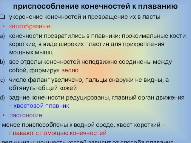 приспособление конечностей к плаванию укорочение конечностей и превращение их в