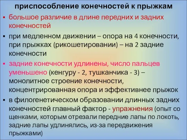 приспособление конечностей к прыжкам большое различие в длине передних и