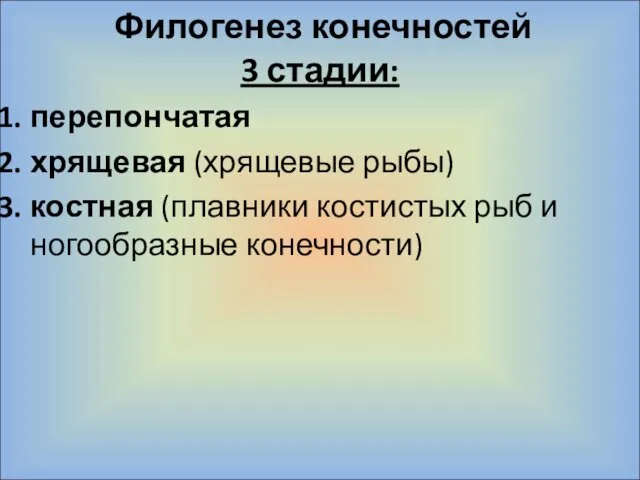 Филогенез конечностей 3 стадии: перепончатая хрящевая (хрящевые рыбы) костная (плавники костистых рыб и ногообразные конечности)