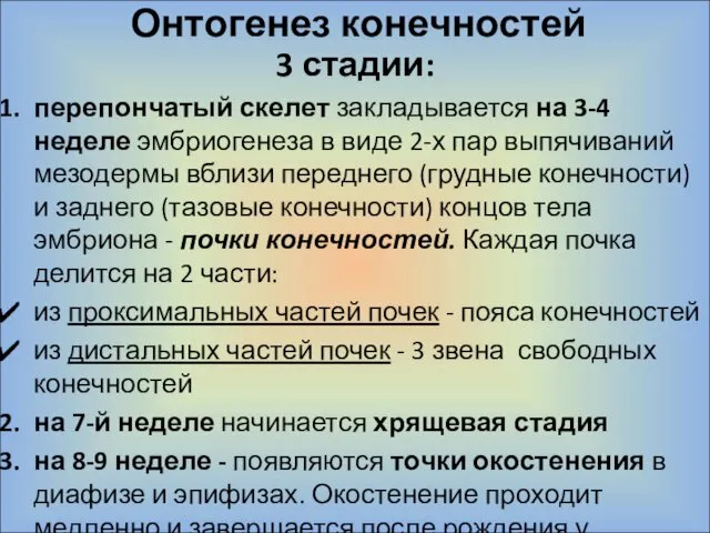 Онтогенез конечностей 3 стадии: перепончатый скелет закладывается на 3-4 неделе