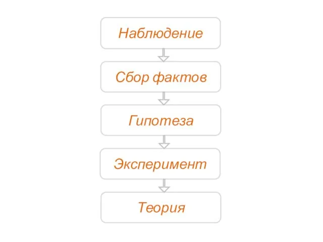 Наблюдение Сбор фактов Гипотеза Эксперимент Теория