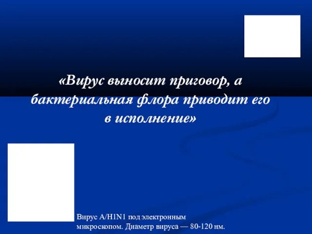 «Вирус выносит приговор, а бактериальная флора приводит его в исполнение»