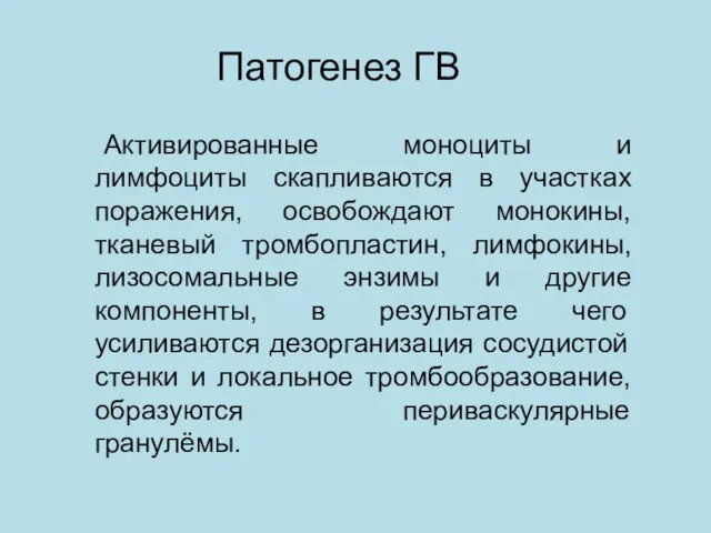 Патогенез ГВ Активированные моноциты и лимфоциты скапливаются в участках поражения,