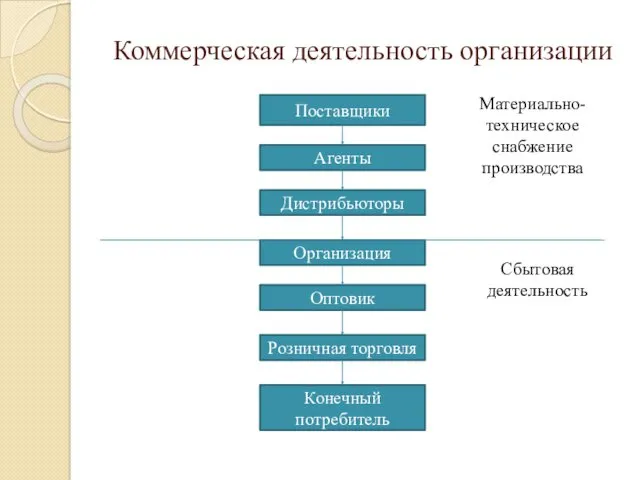 Коммерческая деятельность организации Поставщики Агенты Дистрибьюторы Оптовик Организация Конечный потребитель