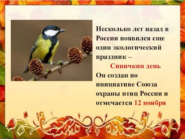 Несколько лет назад в России появился еще один экологический праздник
