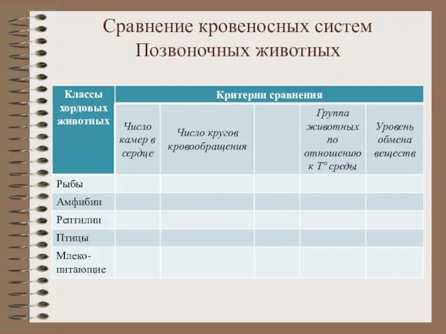 Сравнение кровеносных систем Позвоночных животных