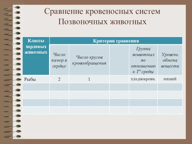 Сравнение кровеносных систем Позвоночных животных