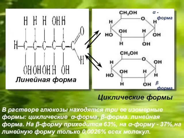 Линейная форма Циклические формы В растворе глюкозы находятся три ее