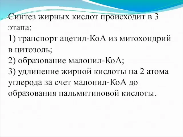 Синтез жирных кислот происходит в 3 этапа: 1) транспорт ацетил-КоА