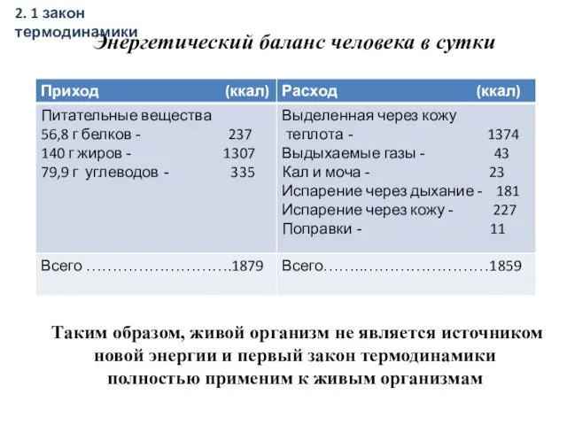 Энергетический баланс человека в сутки Таким образом, живой организм не