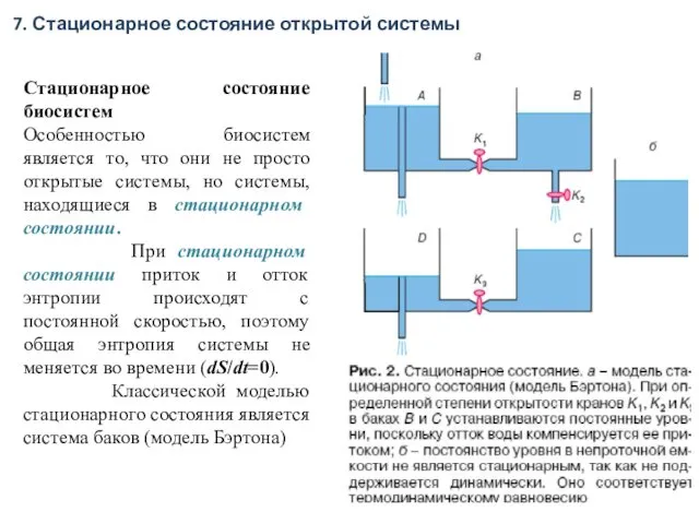 Стационарное состояние биосистем Особенностью биосистем является то, что они не