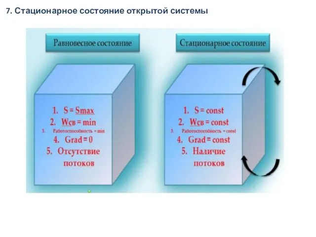 7. Стационарное состояние открытой системы