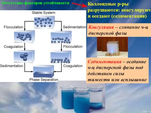 Отсутствие факторов устойчивости Коллоидные р-ры разрушаются: коагулируют и оседают (седиментация)