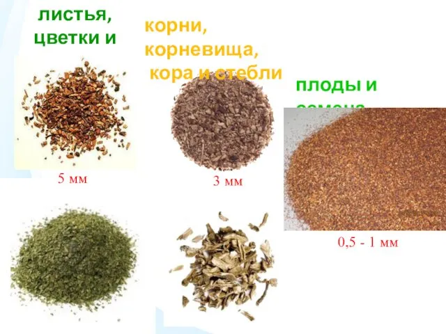 листья, цветки и трава 5 мм корни, корневища, кора и