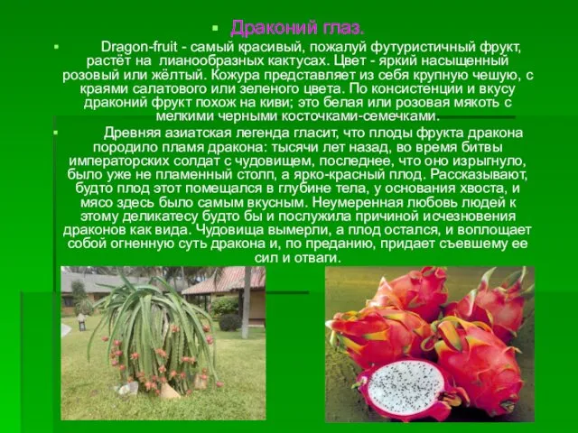 Драконий глаз. Dragon-fruit - самый красивый, пожалуй футуристичный фрукт, растёт