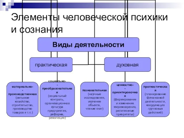 Элементы человеческой психики и сознания