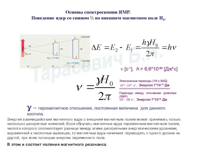 Энергия взаимодействия магнитного ядра с внешним магнитным полем может принимать