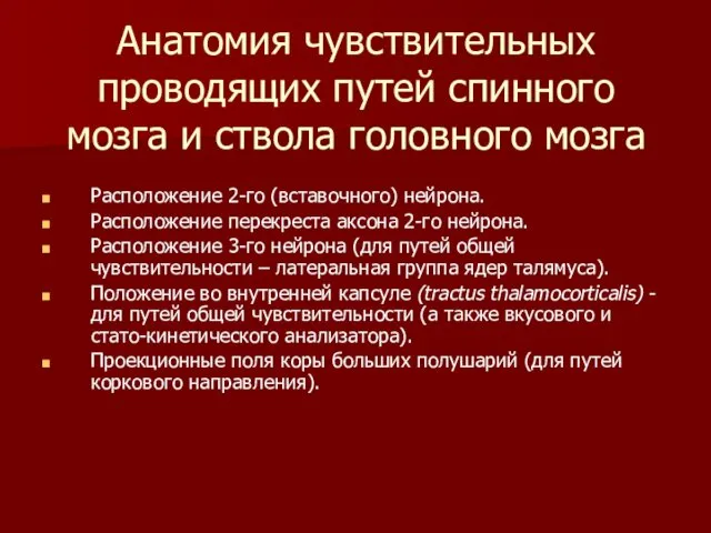 Анатомия чувствительных проводящих путей спинного мозга и ствола головного мозга