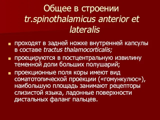 Общее в строении tr.spinothalamicus anterior et lateralis проходят в задней