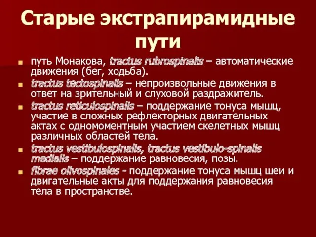 Старые экстрапирамидные пути путь Монакова, tractus rubrospinalis – автоматические движения