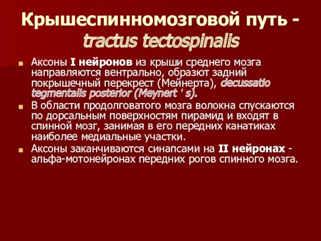 Крышеспинномозговой путь - tractus tectospinalis Аксоны I нейронов из крыши