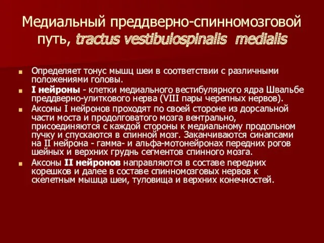 Медиальный преддверно-спинномозговой путь, tractus vestibulospinalis medialis Определяет тонус мышц шеи