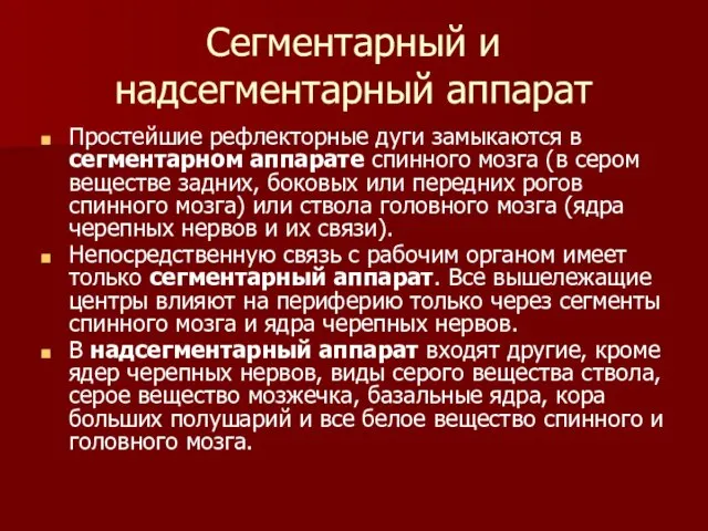 Сегментарный и надсегментарный аппарат Простейшие рефлекторные дуги замыкаются в сегментарном