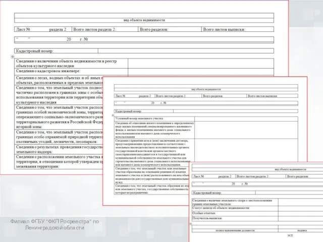 Филиал ФГБУ "ФКП Росреестра" по Ленинградской области