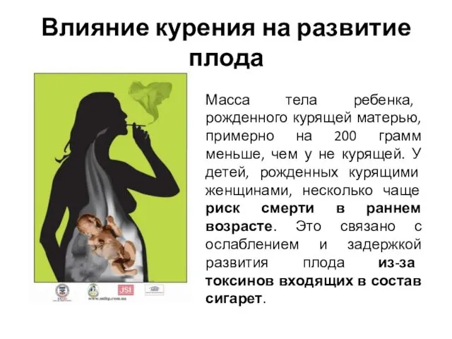Влияние курения на развитие плода Масса тела ребенка, рожденного курящей матерью, примерно на