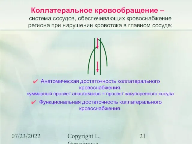 07/23/2022 Copyright L. Gerasimova Коллатеральное кровообращение – система сосудов, обеспечивающих