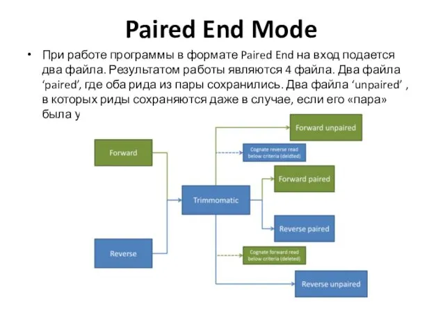 Paired End Mode При работе программы в формате Paired End