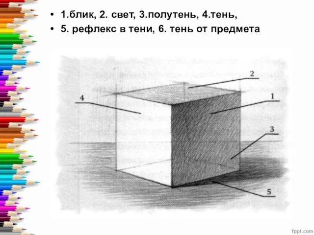 1.блик, 2. свет, 3.полутень, 4.тень, 5. рефлекс в тени, 6. тень от предмета