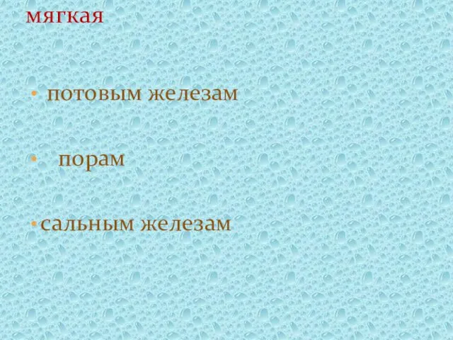 потовым железам порам сальным железам 3 Благодаря чему кожа всегда мягкая