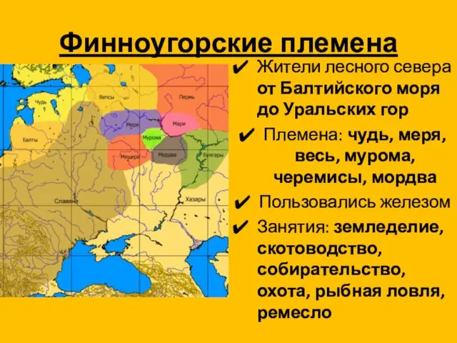 Финноугорские племена Жители лесного севера от Балтийского моря до Уральских