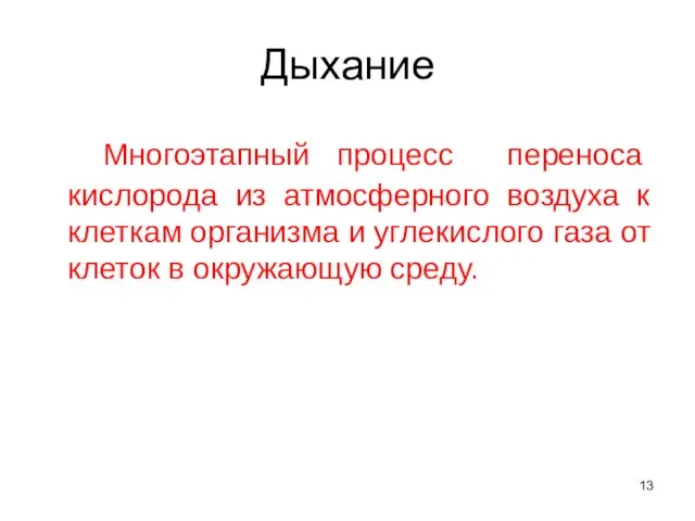 Дыхание Многоэтапный процесс переноса кислорода из атмосферного воздуха к клеткам