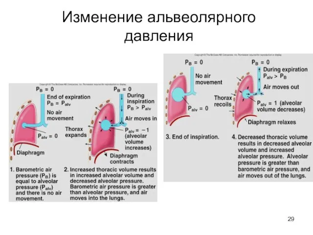 Изменение альвеолярного давления