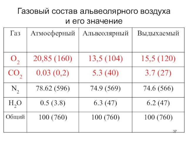 Газовый состав альвеолярного воздуха и его значение