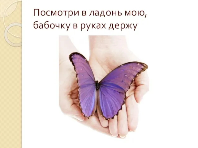 Посмотри в ладонь мою, бабочку в руках держу