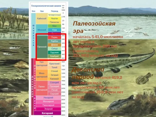 Палеозойская эра началась 541,0 миллиона лет назад и продолжалась 289