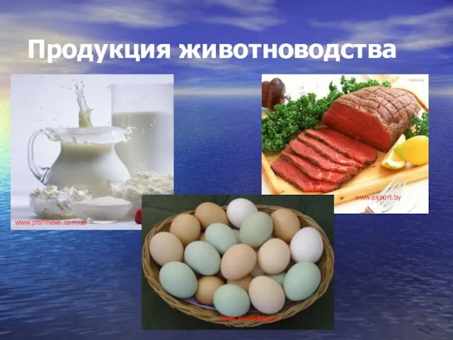 Продукция животноводства www.export.by www.foodtalking.ru www.profinews.com.ua