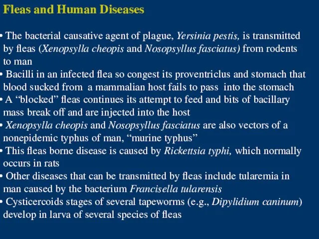 Fleas and Human Diseases The bacterial causative agent of plague,